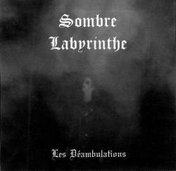 Sombre Labyrinthe : Les Déambulations